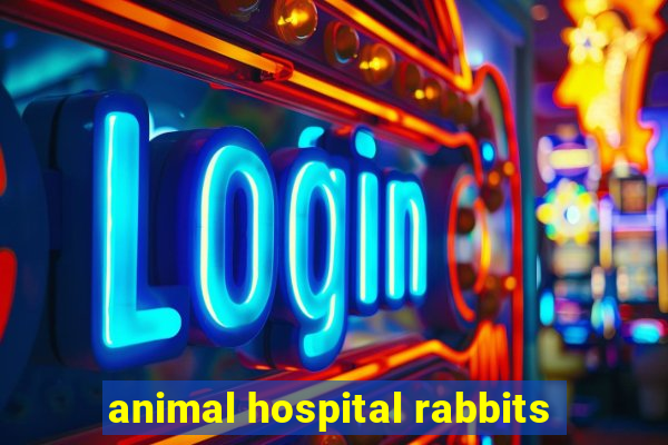 animal hospital rabbits